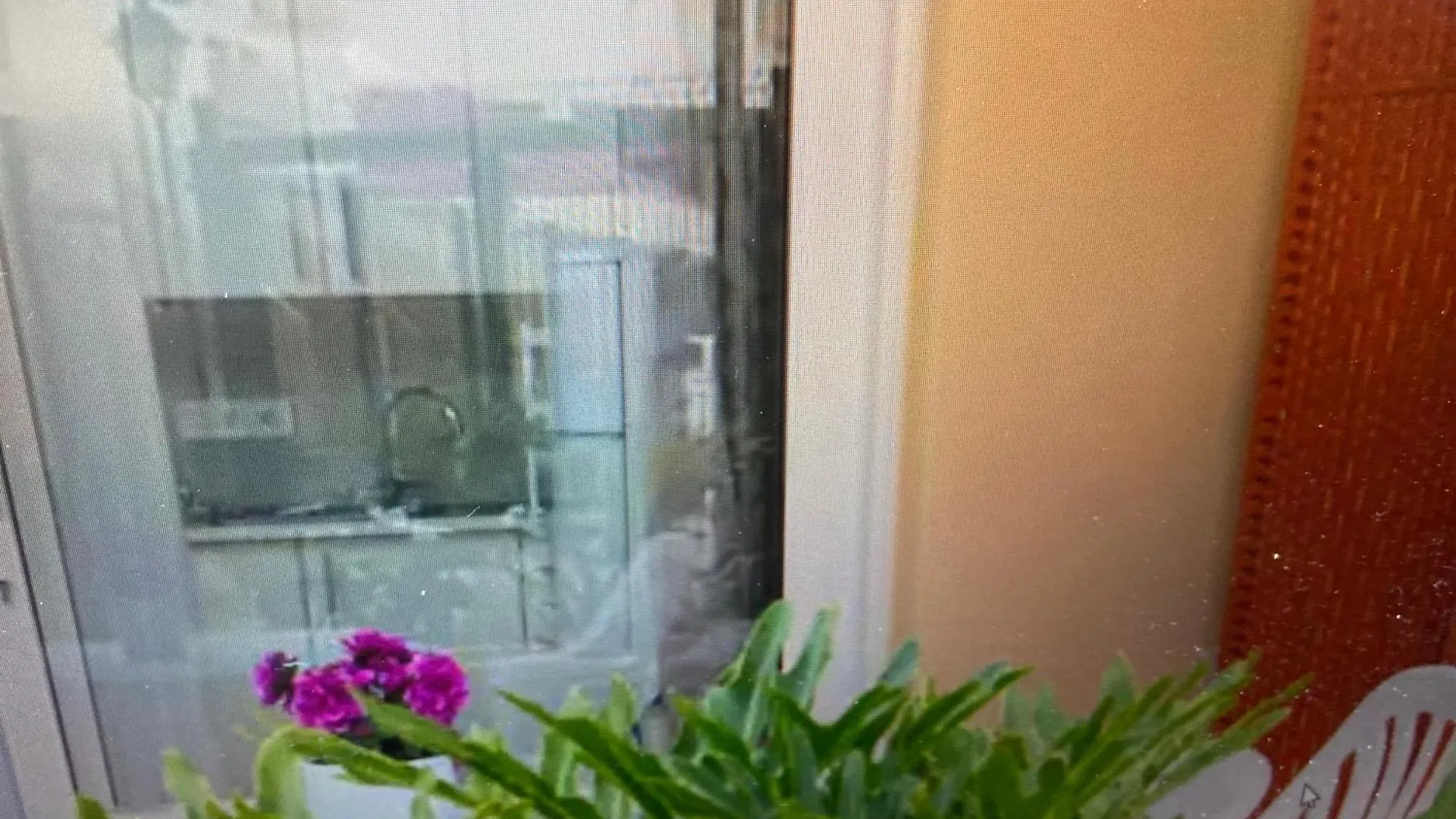 Apartment Holiday Costa Adeje